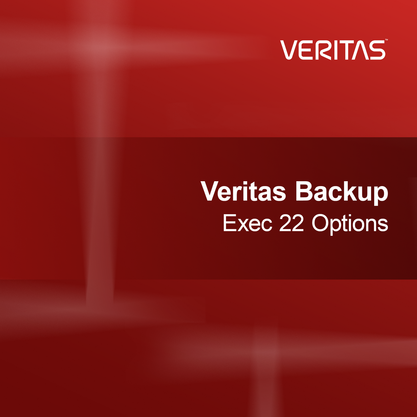 Veritas Backup Exec 22 Options